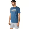 BLOSSOMING FUJI TEE BLOSSOMING FUJI TEE