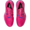 GEL-RESOLUTION X GEL-RESOLUTION X
