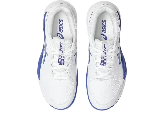 GEL-RESOLUTION X GRADE SCHOOL GEL-RESOLUTION X GRADE SCHOOL