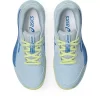 GEL-RESOLUTION X GRADE SCHOOL GEL-RESOLUTION X GRADE SCHOOL