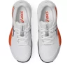 GEL-RESOLUTION X GRADE SCHOOL GEL-RESOLUTION X GRADE SCHOOL