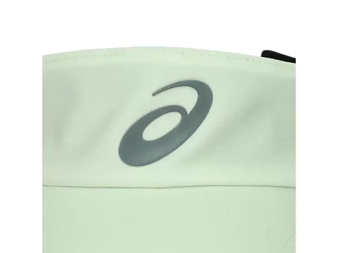 PERFORMANCE VISOR PERFORMANCE VISOR