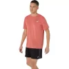 ROAD SHORT SLEEVE TOP ROAD SHORT SLEEVE TOP